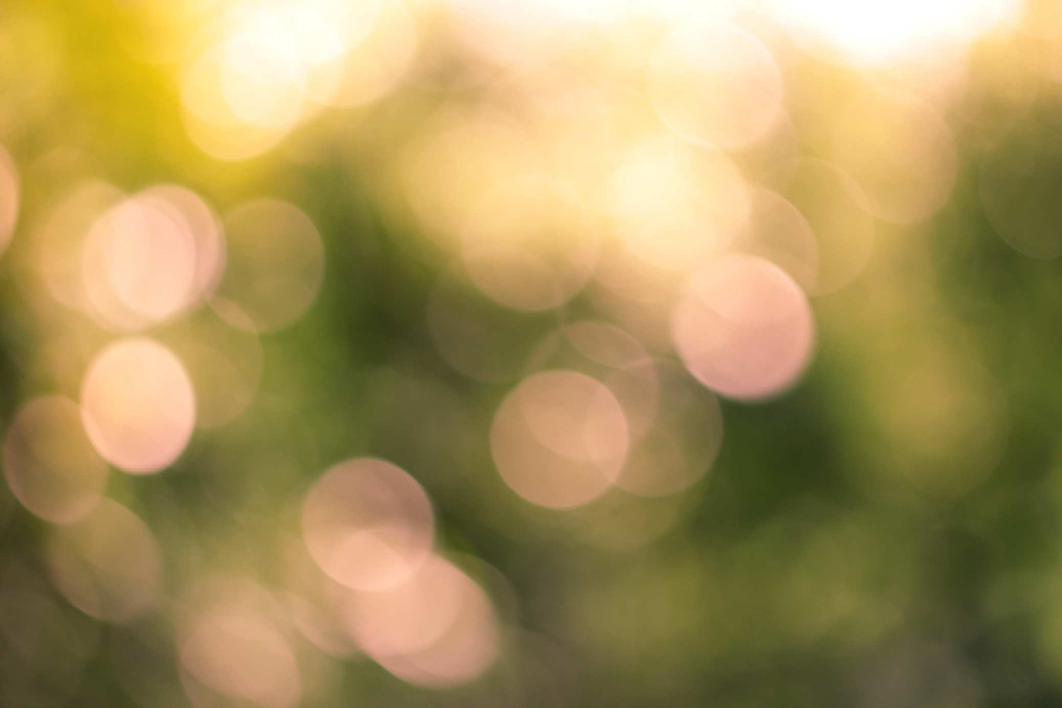 Natural Bokeh , blurred bokeh